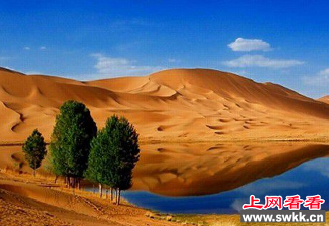 塔克马拉干沙漠