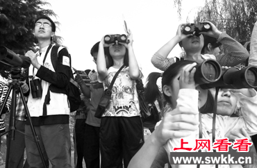 红头长尾山雀被评为“鸟王”