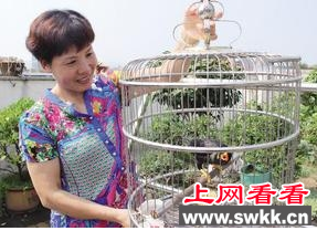 市民家养的鹩哥竟还会提醒人接电话