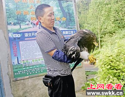 岘山惊现受伤大鸟 竟为国家二级保护动物