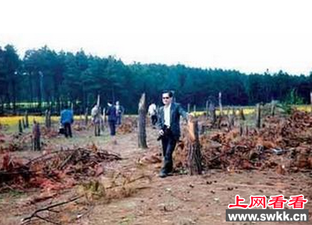 都溪毁林事件