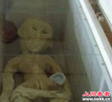 长沙外星人