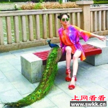 武汉女子街头遛“绿孔雀”