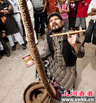 印度通天绳