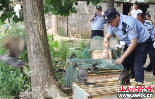 邳州市运河派出所民警救出1800余只黑水鸡