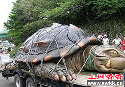 千年神龟