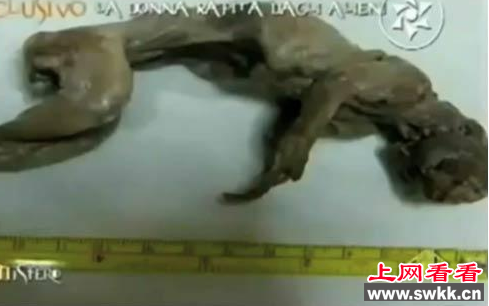 意大利女子产下外星人