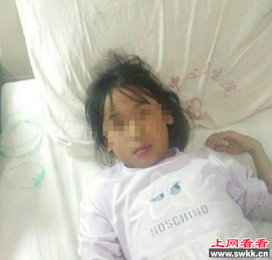 云南数名小学生因误食铁树果中毒