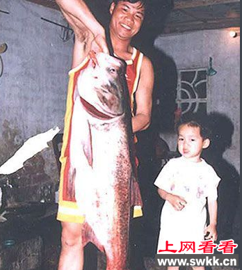 尼罗河鲈鱼