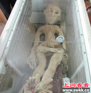 山东发现外星人