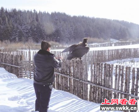 赤峰市民警放生野生秃鹫