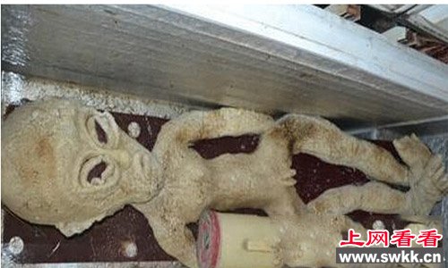外星人婴儿