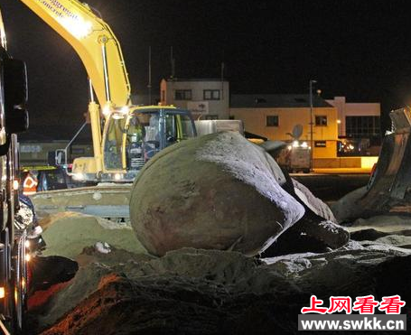 福州机场首次截获龙涎香 系抹香鲸分泌物