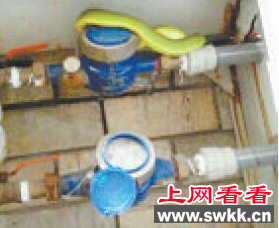 物业查水表发现竹叶青蛇 捕捉险被咬