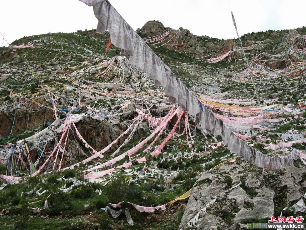郯城大地震