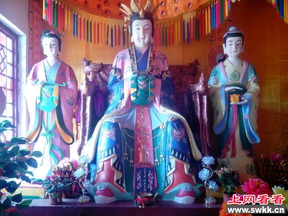 泰山老奶奶