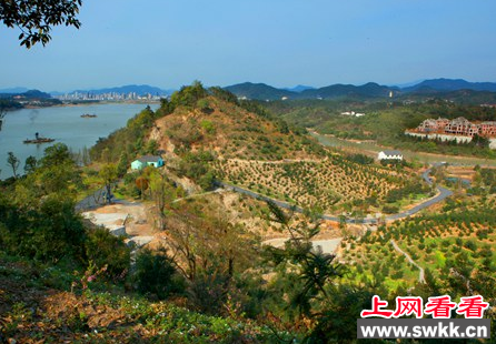 青山湖香榧园十年孕育终成林