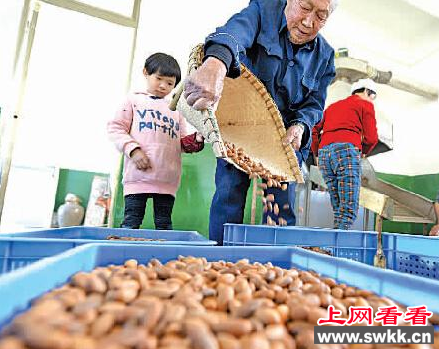 香榧第一村：宁波
