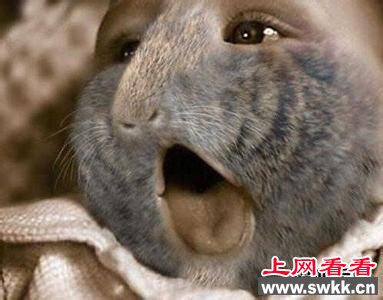 苏联半兽人