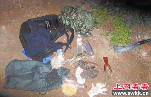 志愿队伍抓获非法捕鸟者