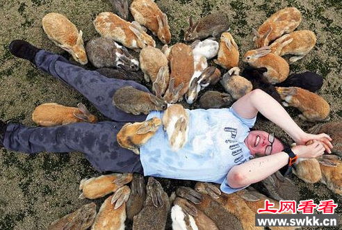 游客体验日本兔岛 惨被兔子活埋