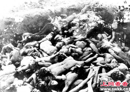 四五运动死了多少人