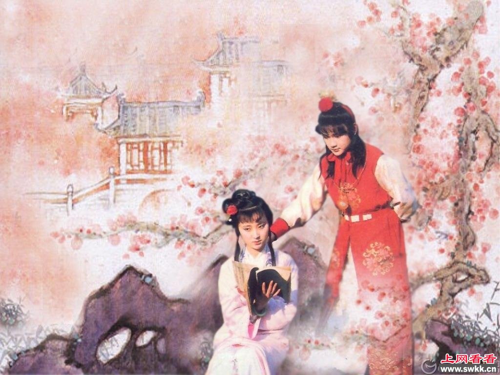 红楼梦读后感