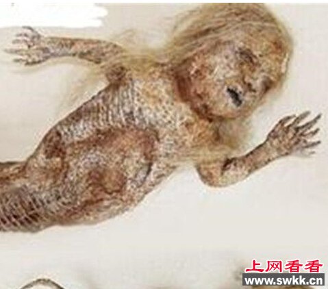 水猴子真的存在吗