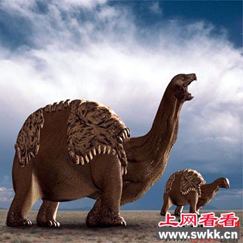世界最大的乌龟