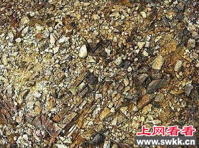 神秘事件 不解之谜