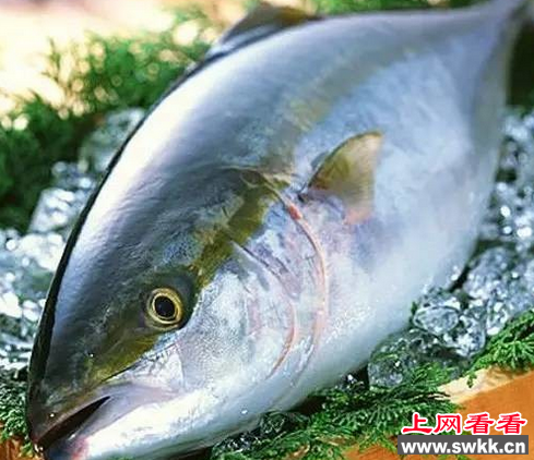 “国宝”黄唇鱼竟在网上被公然销售 