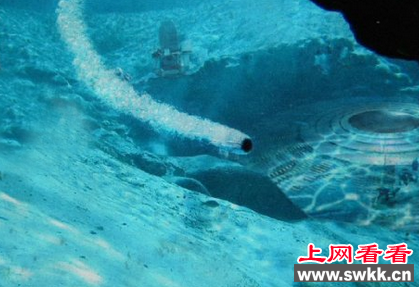 南极洲外星人基地