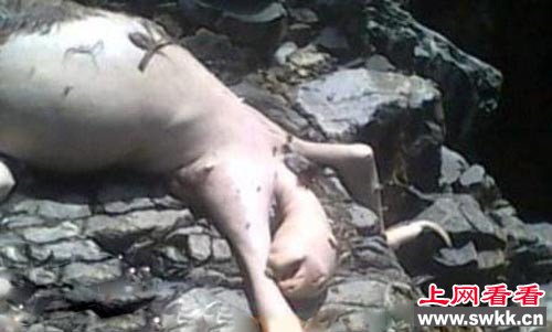 世界上真的有ufo吗