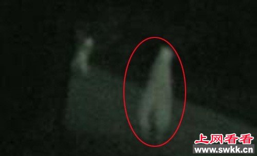 世界上有外星人吗