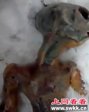 世界上有外星人吗