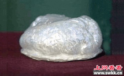 世界最大珍珠
