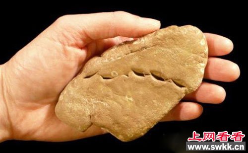 史上八大最珍贵化石：史前巨蟒可吞食恐龙
