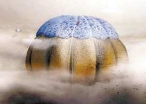 霍金的外星生物猜想 极寒星球上或有长毛兽