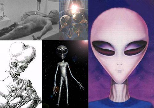 UFO专家称 30多具外星人遗体秘密保存于美国各处