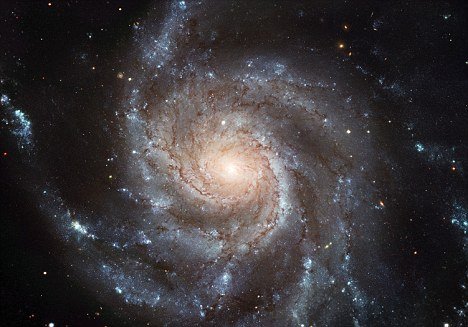 美天文学家称外星人或不存在 人类是唯一生命