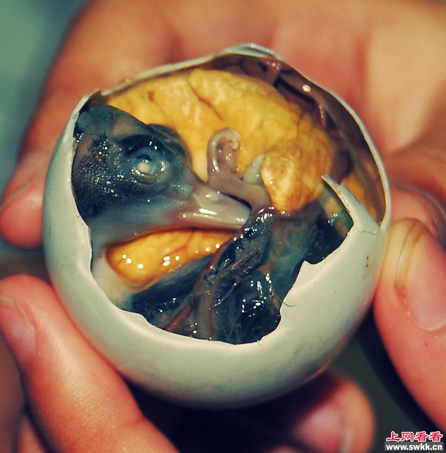 全球最惊悚的20大“美食”