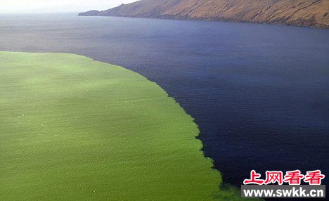 地球生命起源之谜终揭晓 或源自格陵兰火山爆发